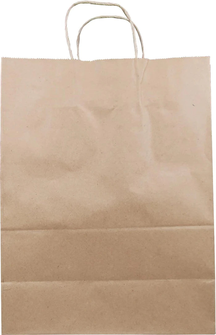Eco-Craze/Vanity -10x5x13 Kraft Paper Bag - Twisted Handle