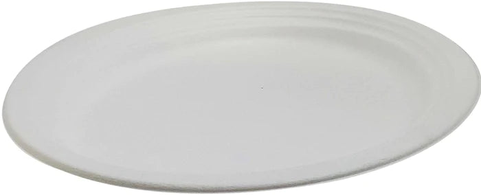 12" Oval Plate - bagasse