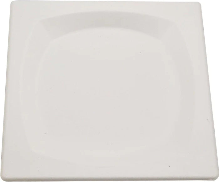 8" Square Plate- Biodegradeable