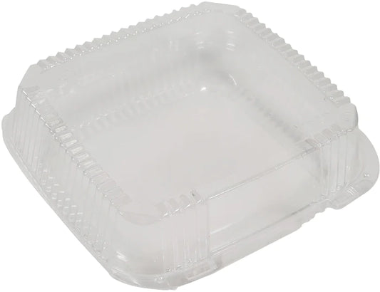 Hinged Plastic Container - Medium - C18-1120